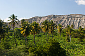 Landschaft im Hinterland, Provinz Independencia, Dominikanische Republik