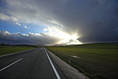 Country road near Ronda, Malaga, Andalusia, Spain