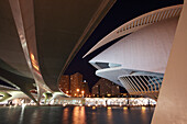 Palau de les Arts Reina Sofía, Architekt Santiago Calatrava, Av Autopista del Saler, Pont de Pont de Montolivet, Valencia, Spanien