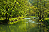 River at Wiesent valley, Fraenkische Schweiz, Franconia, Bavaria, Germany, Europe