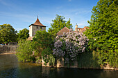 Häuser an der Kocher, Schwäbisch Hall, Hohenloher Land, Baden-Württemberg, Deutschland, Europa