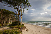 Gewitterwolken am Darßer Weststrand, Fischland-Darß-Zingst, Ostsee, Mecklenburg-Vorpommern, Deutschland, Europa