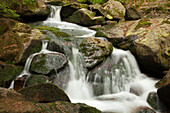 Ilsefälle, Ilsetal, Heinrich-Heine-Wanderweg bei Ilsenburg, Harz, Sachsen-Anhalt, Deutschland