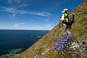 Norway, Lofoten Islands, trekker and bellflowers