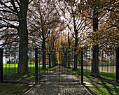 Trees in an alley of a castel, iron gate, beeches, autumn