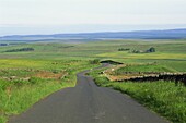 England, Northumbria, Empty Road and Countryside View