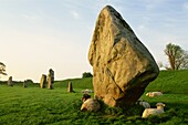 England,Wiltshire,Avebury,Avebury Stone Circle