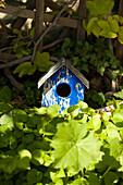 Nest box in a garden