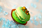 Pistachio macaron