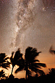 Brazil, Bahia, milky way, stars, coconut way