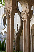 Croatia, Dubrovnik, Franciscan monastry cloister
