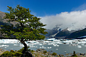 Argentina, Patagonia, Los Glaciares national park, Lago Argentino