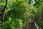Argentina, tourists going to Iguazu falls