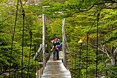 Chile, Patagonia, Torres del Paine National Park, trekker on wood bridge