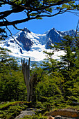 Argentina, Patagonia, Los Glaciares National Park, El Chalten, near Laguna de los Tres, Fitz Roy mountain (3405m)