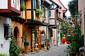 France, Alsace, Haut-Rhin, Eguisheim, Rempart Nord street