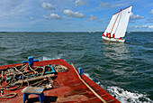 France, Aquitaine, Gironde, Bassin d'Arcachon, pinasses race (typical boats)