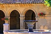 France, Provence, Vaucluse, Apt, fountain
