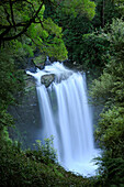 Hopetoun Falls on Aire River, Great Otway National Park, Victoria, Australia