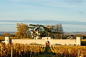 France, Aquitaine, Gironde, château Lafaurie-Peyraguey, vineyards