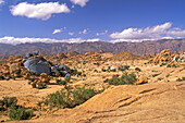 Morocco, Anti-Atlas, Tafraoute area, painted rocks (by Jean Vérame)