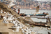 India, Uttar Pradesh, Varanasi (Benares), river Ganges