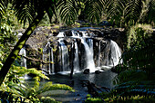 Australia, Queensland, Wooroonooran National Park, Wallacha waterfalls