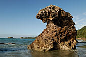 Australia, Queensland, Cape Hillsborough National Park, lava rock on a beach