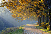 France, Pays de la Loire, Loire-Atlantique, Blain, canal de Nantes à Brest