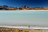 Chile, San Pedro de Atacama, Laguna Tuyajto, person near a lake, mountains in the back