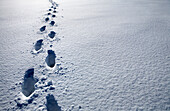 Footprints in Snow