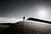 Woman Walking on Desert Sand Dune, Rear View, California, USA