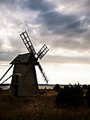 Windmill Near Sea, Gotland, Sweden