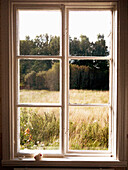 View of Field and Trees Through Window