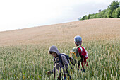 Two boys in grain field, Lankau, Schleswig-Holstein, Germany