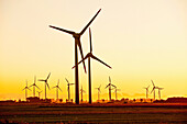 Windräder im Windpark bei Sonnenuntergang, Schleswig Holstein, Deutschland, Europa