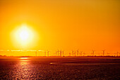 Windräder im Windpark bei Sonnenuntergang, Schleswig Holstein, Deutschland, Europa