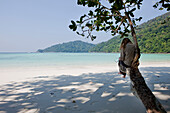 Woman sitting on a tree reading at Hat Mai Ngam Beach, Surin Island Maritim National Park, Andaman Sea, Thailand