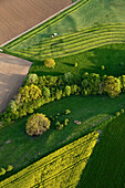 Luftbild einer gemähten Wiese, Eifel, Rheinland Pfalz, Deutschland, Europa