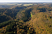 Aerial view of autumnal woods at Lieser valley, Eifel, Rhineland Palatinate, Germany, Europe