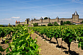 Burg, Carcassone, Midi, Aude, Languedoc-Roussillon, France