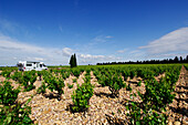 Camper van in the vineyards near Chauteauneuf du Pape, Provence, France