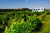 Camper van in the vineyards, Provence, France