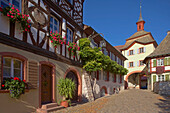 Burkheim, Historic city with city gate, Kaiserstuhl, Baden Wuerttemberg, Germany, Europe