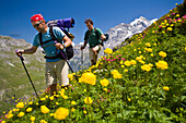 Two hikers crossing flower meadow, mount Jungfrau in background, Lauterbrunnen Valley, Canton of Bern, Switzerland