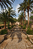 Jardins d Alfabia, moorish country estate, 14 15 century, Bunyola, Mallorca, Balearic Islands, Spain, Europe