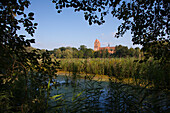 Blick über einen Teich auf den Dom, Güstrow, Mecklenburgische Schweiz, Mecklenburg-Vorpommern, Deutschland, Europa