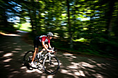 Man road cycling in forest, Bergisches Land, North Rhine-Westphalia, Germany