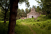 Ruine einer Kirche im Wald, Atlantikküste, Spanien