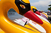 Pedal boats on the beach at Paquetá Island in the Guanabara Bay , Brazil, South America, America